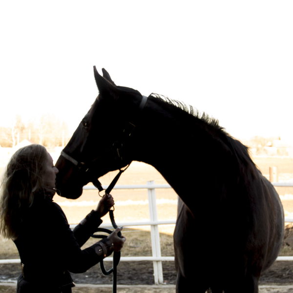 Diseño sin título (11)